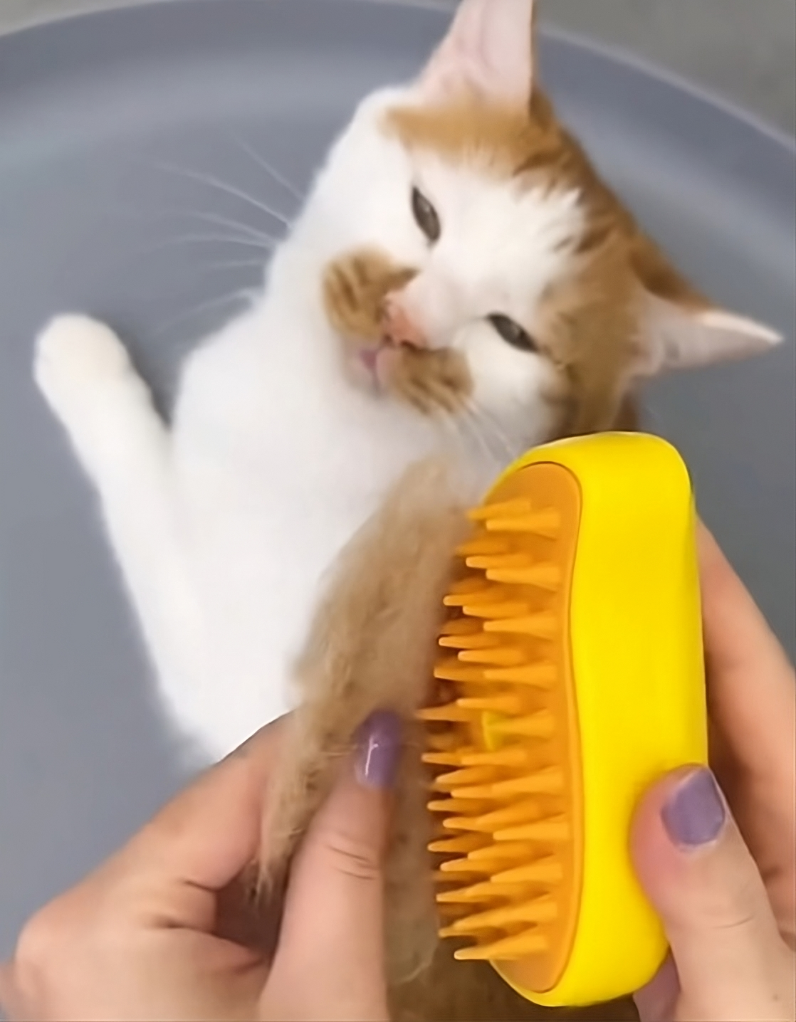 Steamy Cat Brush , 3 In 1 Cat Steamy Brush, Self Cleaning Steam